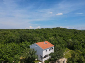 Apartments & Room Danijel